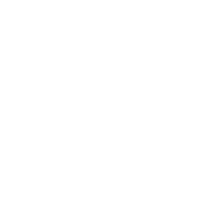 GEOINFORMATYKA