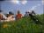rajd200210.jpg