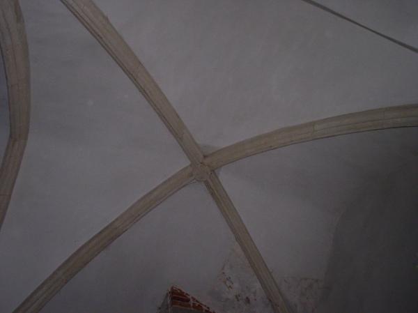 P1010117.JPG