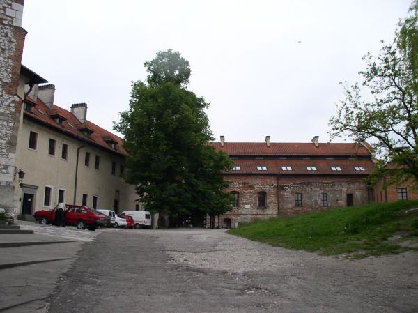 P1010129.JPG