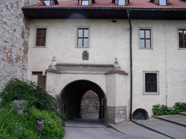 P1010130.JPG