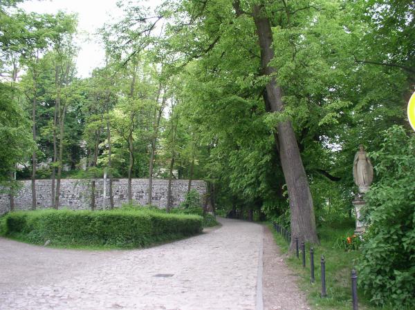 P1010133.JPG