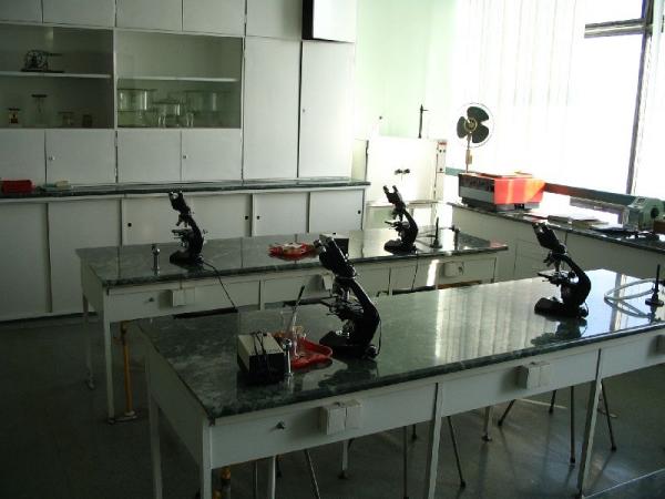 IMG_2450.jpg