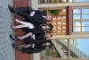 DSC_6288_853353.JPG