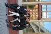 DSC_6289_853354.JPG